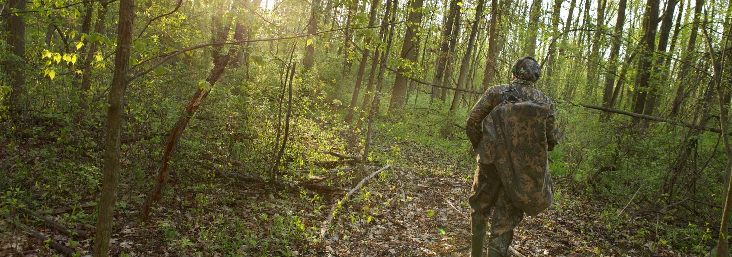 Hunter in camo walking in the forest