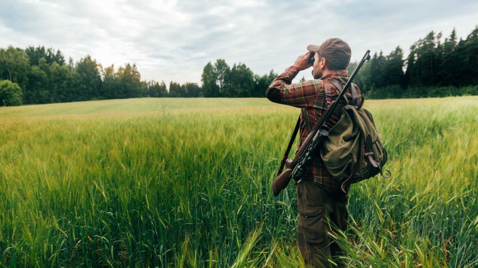 Hunter uses binoculars looking over lush forest
