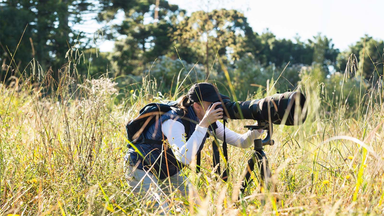 Wildlife enthusiast watching wildlife through large camera